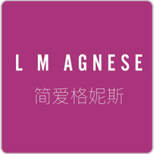 簡(jiǎn)愛格尼斯